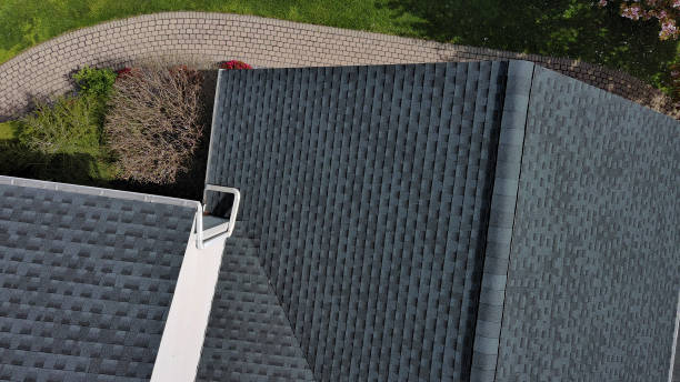 Best Roof Leak Repair  in Diamond Ridge, AK